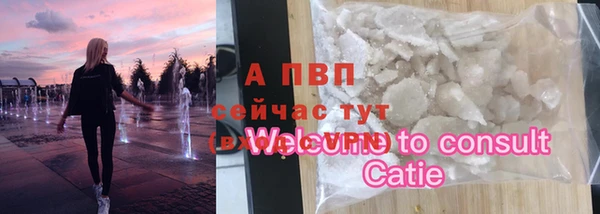 соль ск Дмитровск