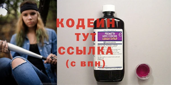 PSILOCYBIN Дмитриев