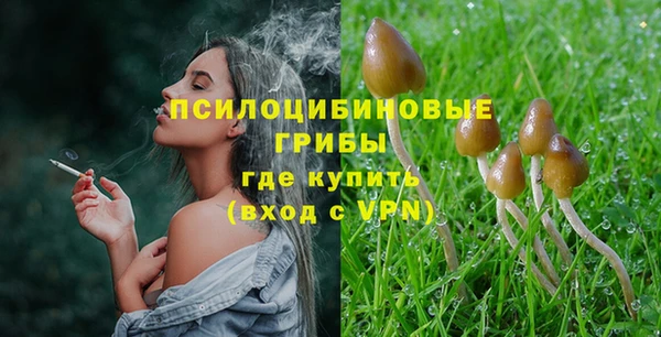 соль ск Дмитровск