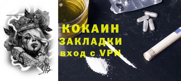 PSILOCYBIN Дмитриев