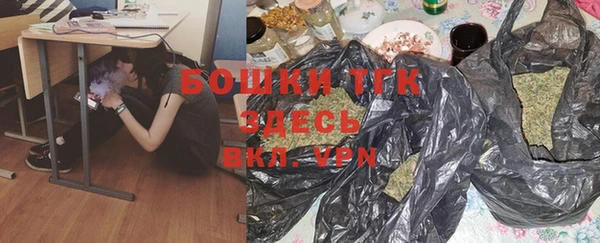 PSILOCYBIN Дмитриев