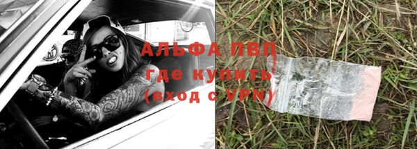 PSILOCYBIN Дмитриев