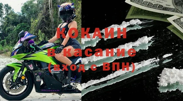 PSILOCYBIN Дмитриев