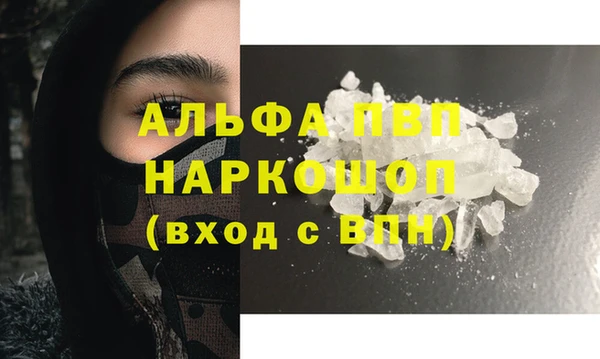 PSILOCYBIN Дмитриев