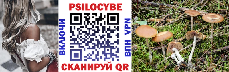 купить hydra онион Псилоцибиновые грибы прущие грибы даркнет состав Пойковский